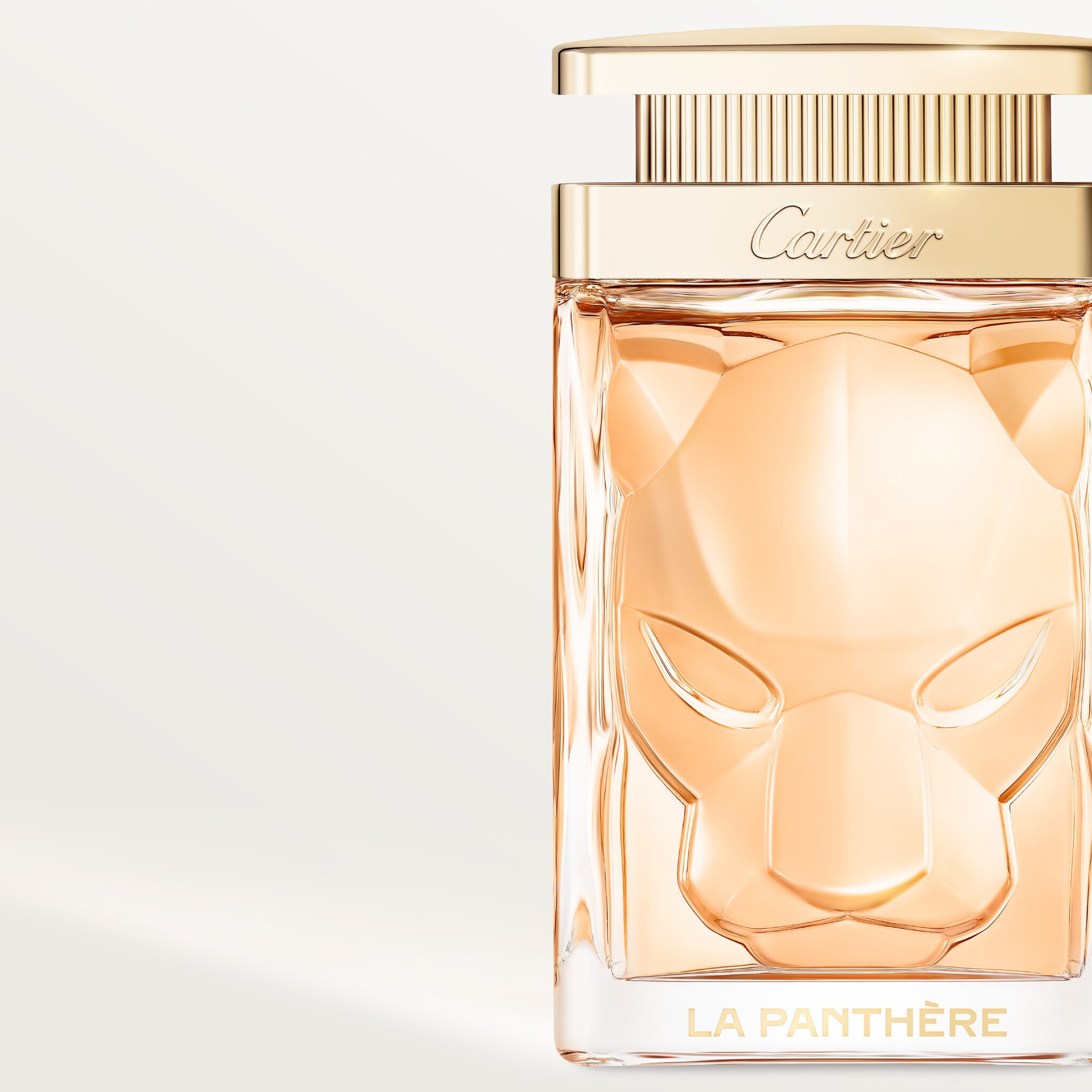 La Panth&egrave;re(라 팬더)