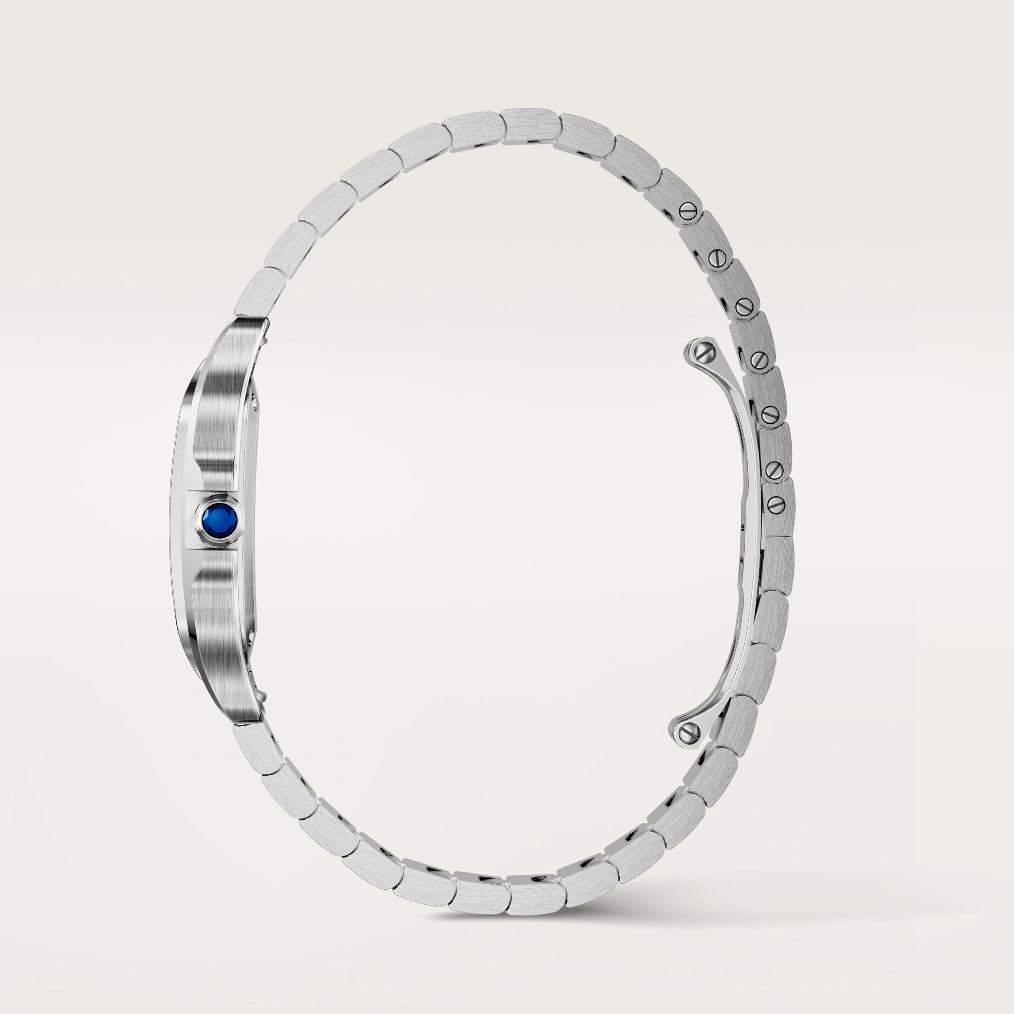 산토스 드 까르띠에 워치, 이미지 6