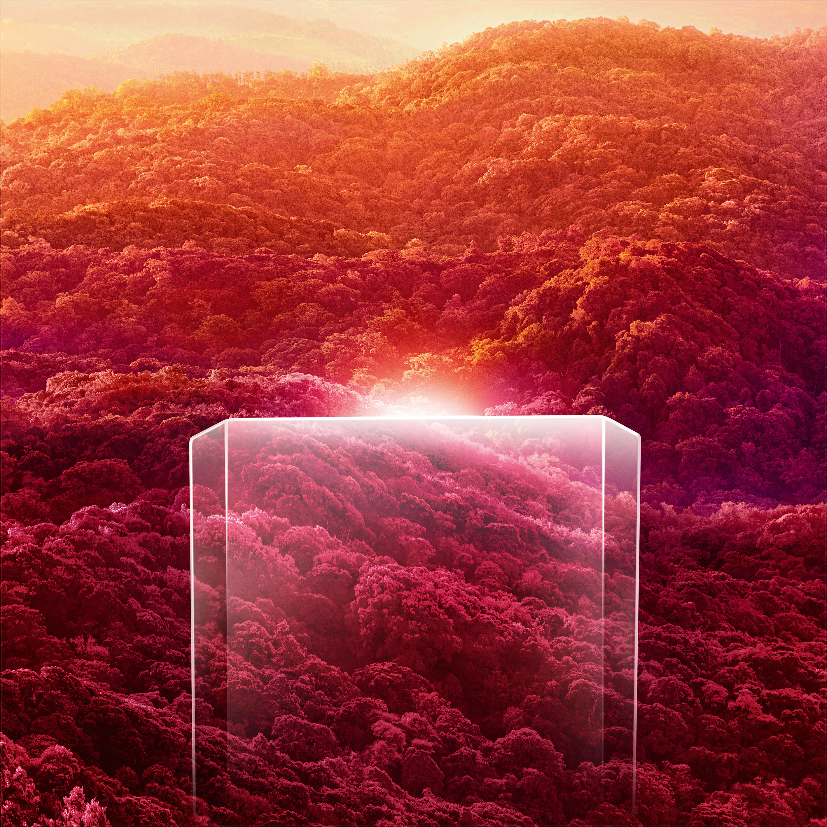 캐노피, 이미지 7