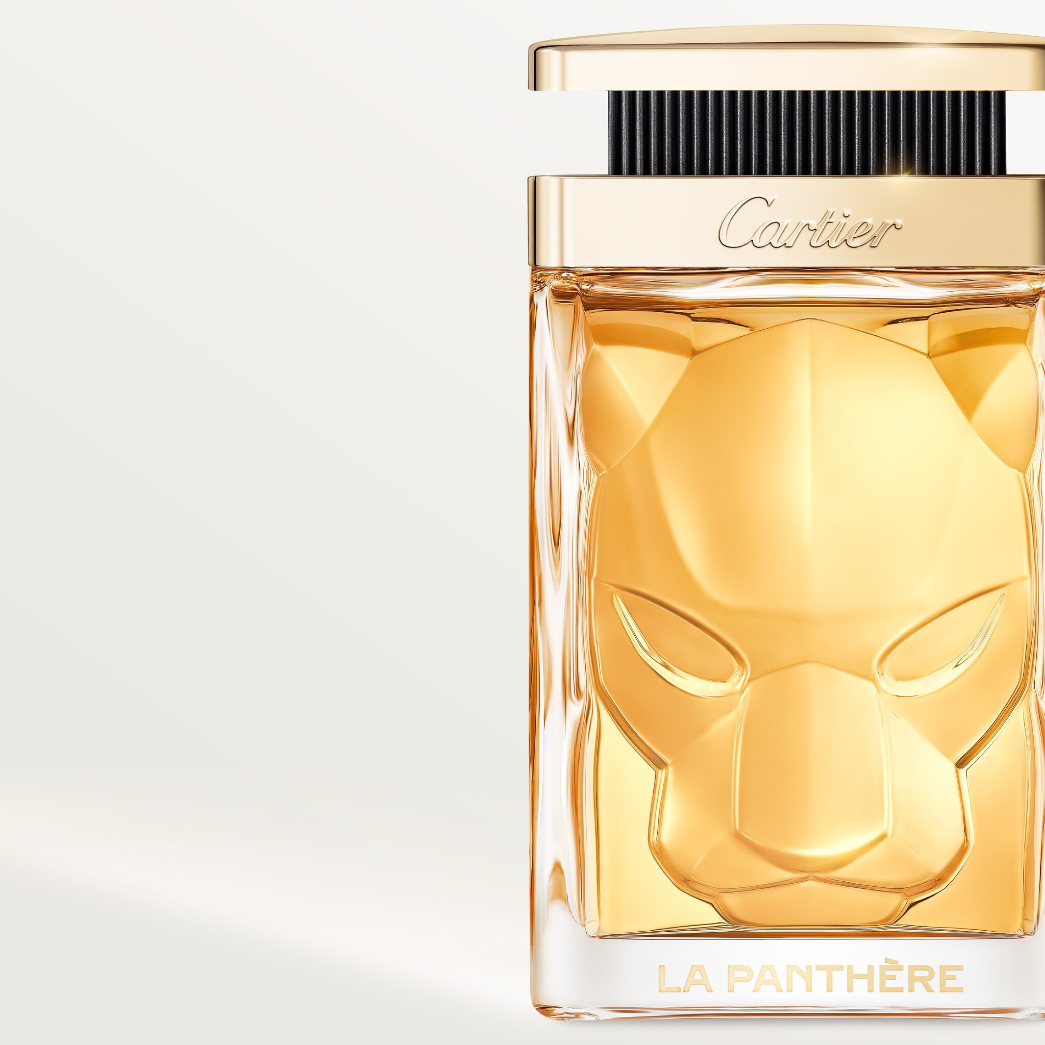 La Panth&egrave;re(라 팬더)