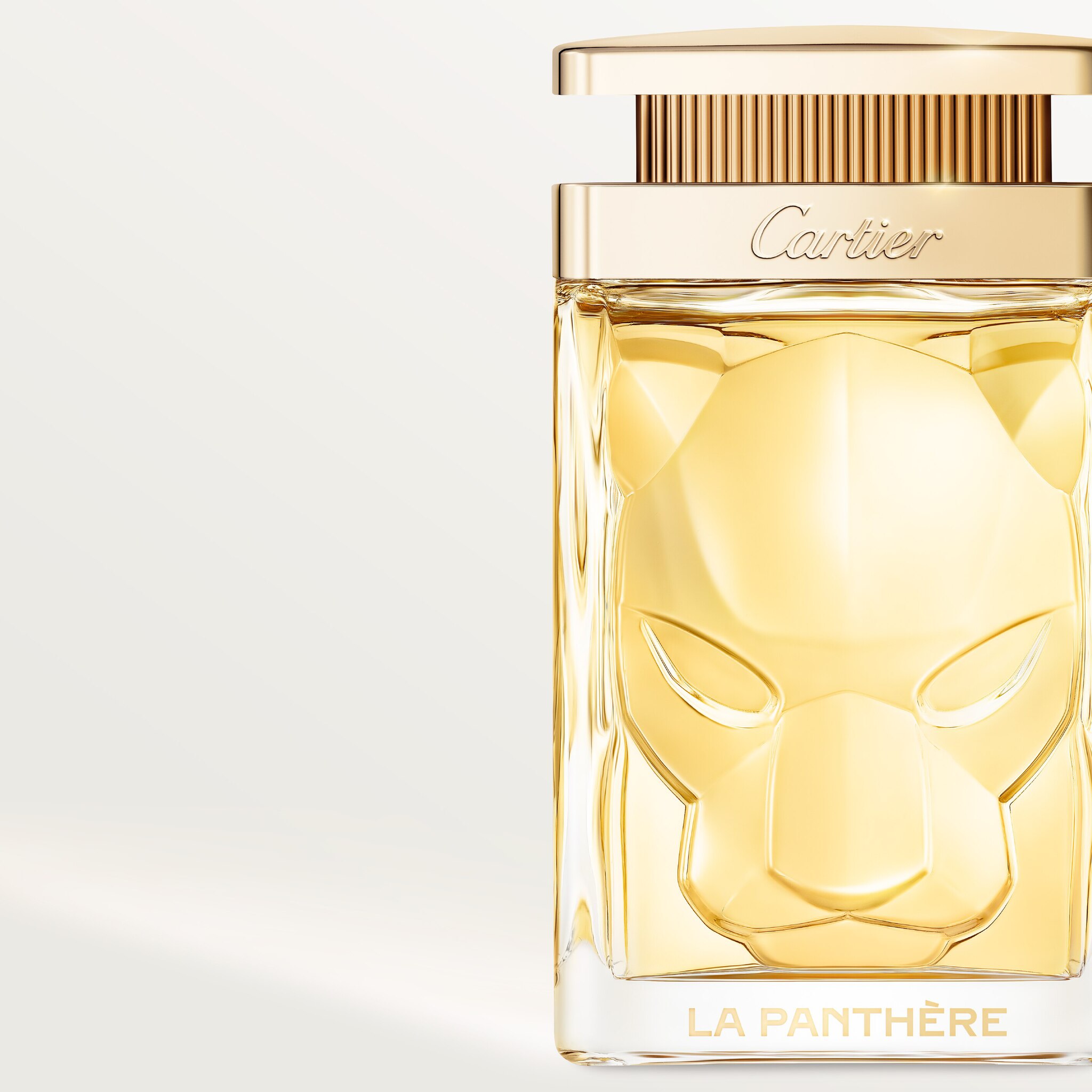 La Panth&egrave;re(라 팬더) 엘릭서